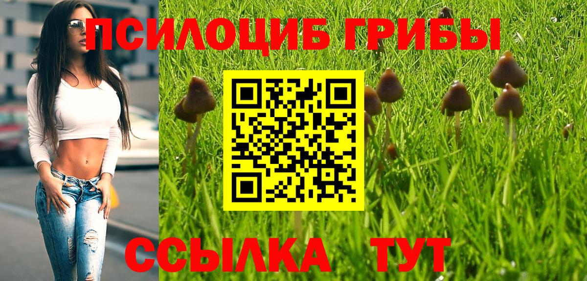 Псков  Галлюциногенные грибы ЛСД  Вход с VPN 