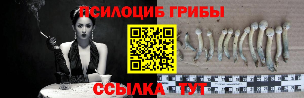 Псилоцибиновые грибы GOLDEN TEACHER Псков