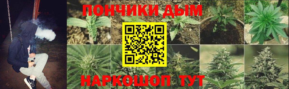 Марихуана ГИДРОПОН  Вход с VPN  Псков  Канабис THC 21%  Шишки марихуана семена 